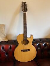 Washburn 12 String Birds Eye Maple Electro-Acoustic Very Rare EA20 40 Woodstock 