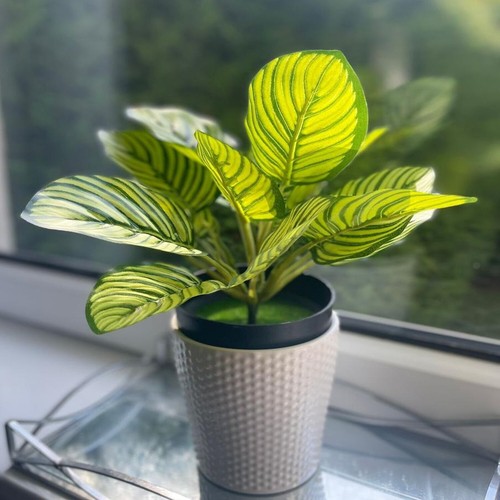 Artificial peacock plant - peacock,