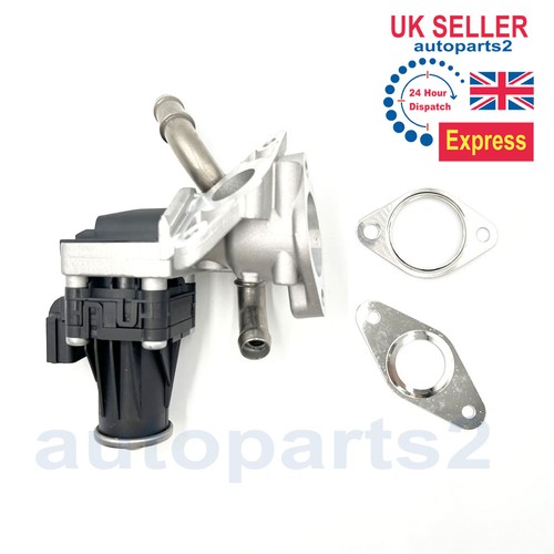 Newegr valve for ford transit - newegr,