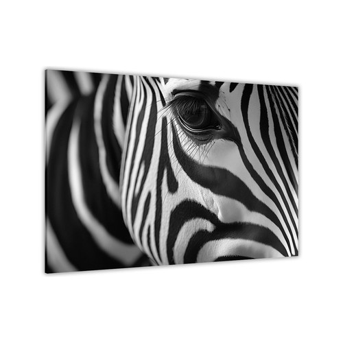 Zebra head canvas - zebra,