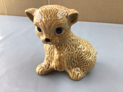 Wade cat - wade,