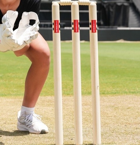 Gray nicolls cricket stumps - cricket, &