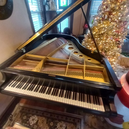 Yamaha conservatory grand - yamaha,