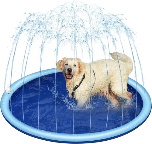 Friend dog paddling - ch-friend, pool