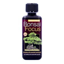 Growth technology bonsai focus - bonsai,