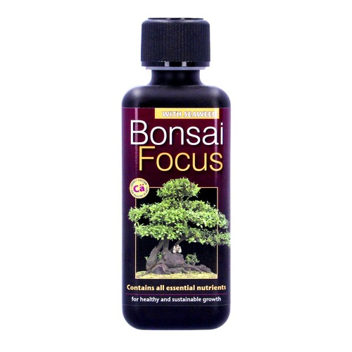 Growth technology bonsai focus - technology,