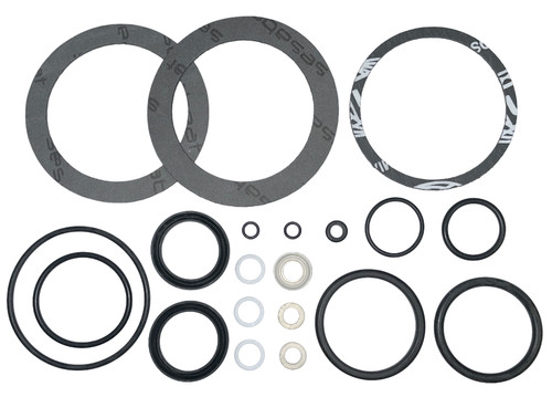 Pavoni professional gasket - professional,