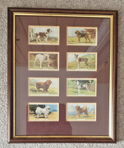 Framed set dog - set,