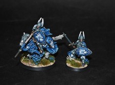 Warhammer lotr prince Imrahil