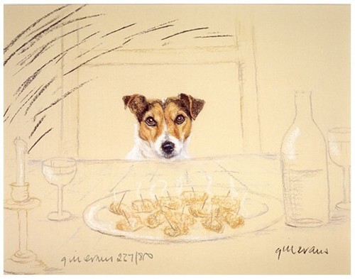 Jack russell terrier dog - jack, art
