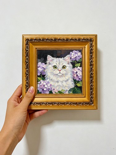 Fluffy white cat - fluffy,