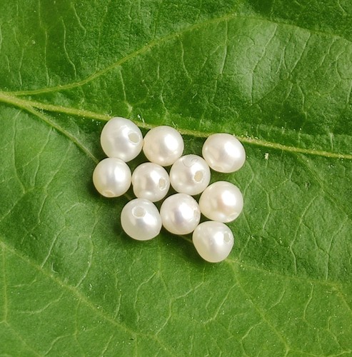 Small seed freshwater pearls - seed,