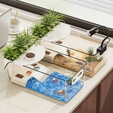 Turtle Tank Terrarium