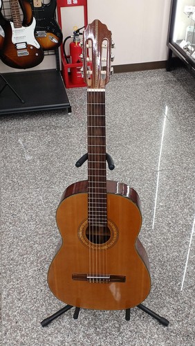 Morris luthier 100 - morris,