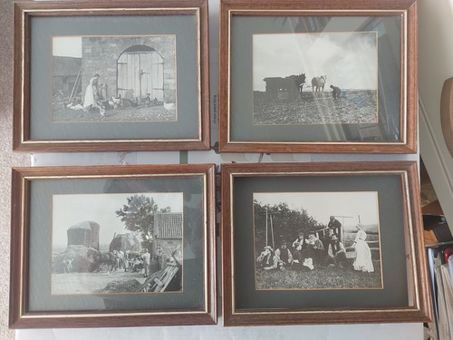 Frank meadow sutcliffe framed - frank,