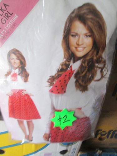 Adult fancy dress henbrant - adult,