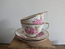 2x ROSLYN FINE BONE CHINA CUP