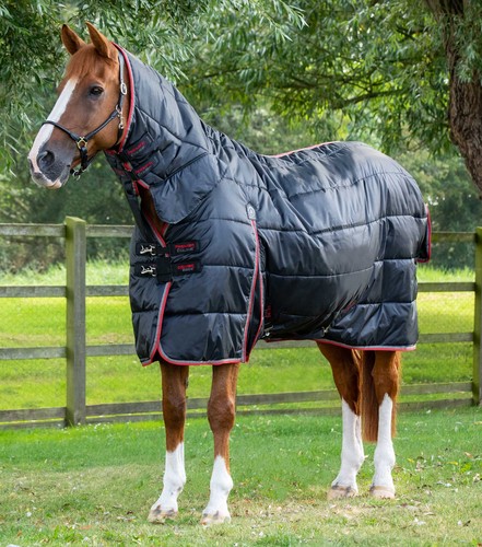 Premier equine combo stable - equine,