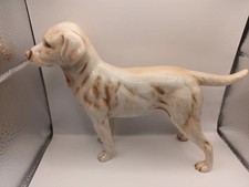 Large goebel labrador - goebel,