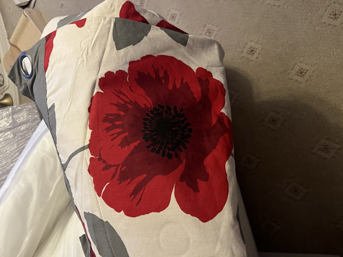 Next floral eyelet - floral, curtains
