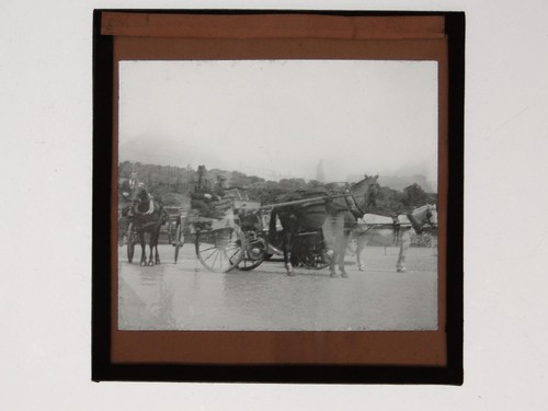 Horse drawn carriages - carriages, flooded