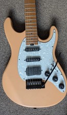 Customised Electric Guitar