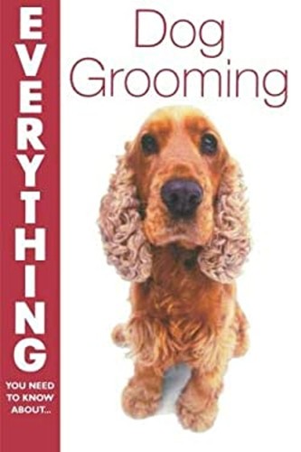 Everything you need know - you, to