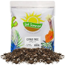 Citrus Tree Potting Soil Mix