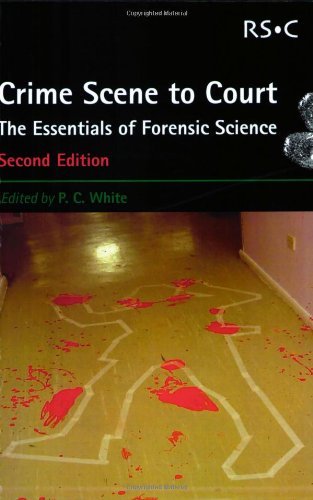 Crime scene court - scene, court: