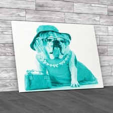 Fashionable Female English Bulldog In Stylish Teal Canvas Print Large Picture