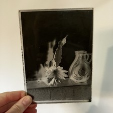 Antique Glass Plate Negative