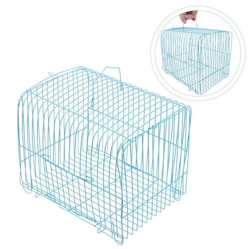Pet bird carrying - pet, parakeet