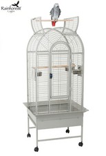 RAINFOREST STONE ECUADOR