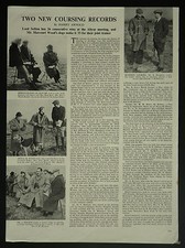 Greyhound Hare Coursing Altcar