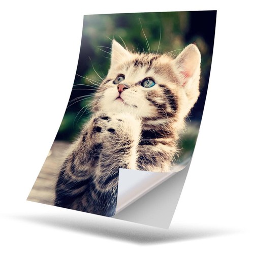 Vinyl sticker - x,