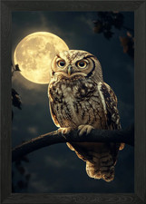 Owl Under Full Moon Framed