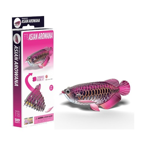Eugy asian arowana - asian,