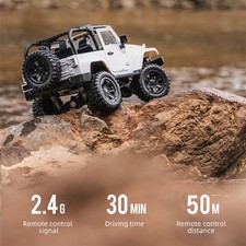 C-F1 RC Car 1/14 Scale Remote