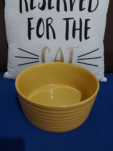 Rayware for today deep - today,