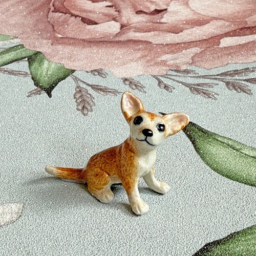 Chihuahua puppy dog - puppy,
