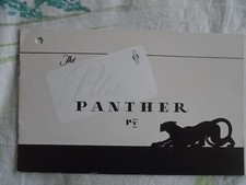 Pilot Panther PV Caravan