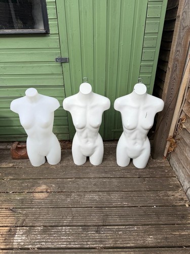 Ladies half body mannequins - half,