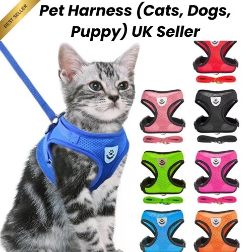 Pet cat harness - pet,