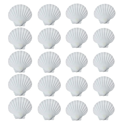 Bulk white scalloped - white,