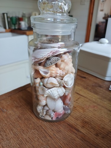Glass jar mixed sea - jar, shells