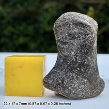 Juvenile Ichthyosaur Femur