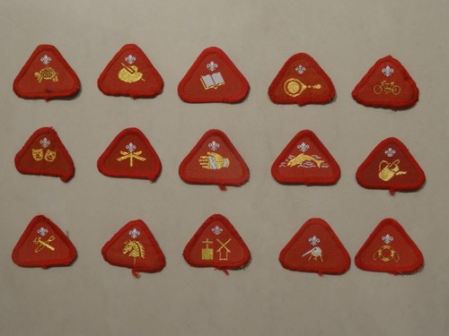 Cub scout proficiency activity - scout, proficiency/activity