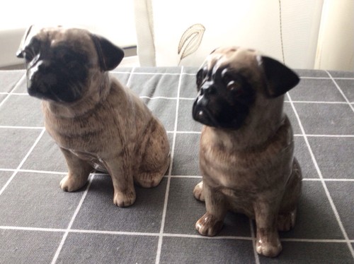 Quail novelty pug - quail, and
