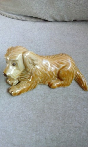 Wade goodie box - wade, spaniel