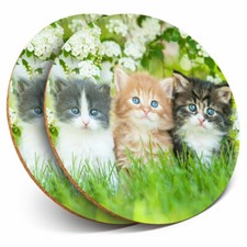 2 x Coasters - Gorgeous Kittens Garden Cats Animals Home Gift #8663